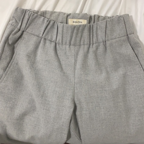 COPY - ARITZIA viscose dexter pants - Picture 4 of 5
